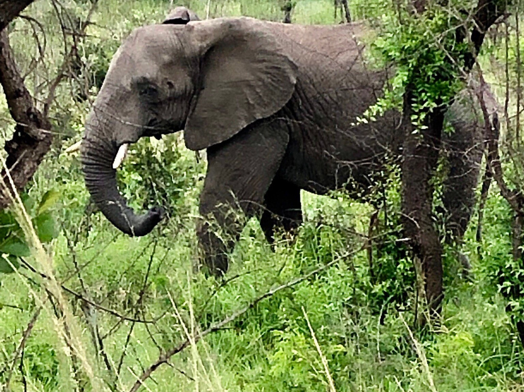 Trinity Tours-德班必去景点