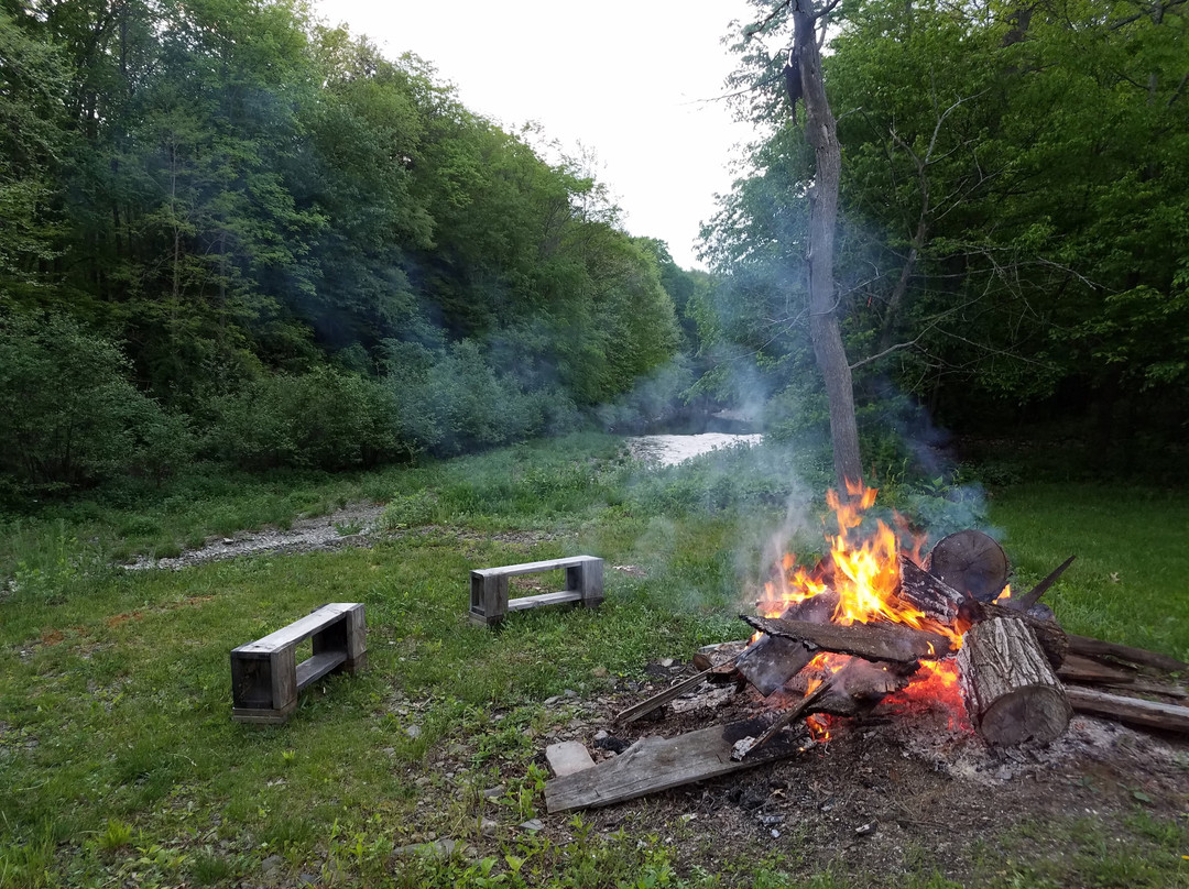 Country Living Bed and Breakfast主图