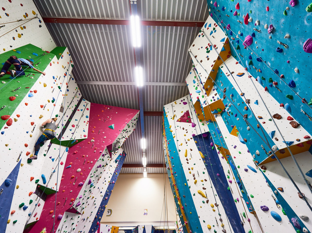 Almondbank旅游景点-Perth College Climbing Centre