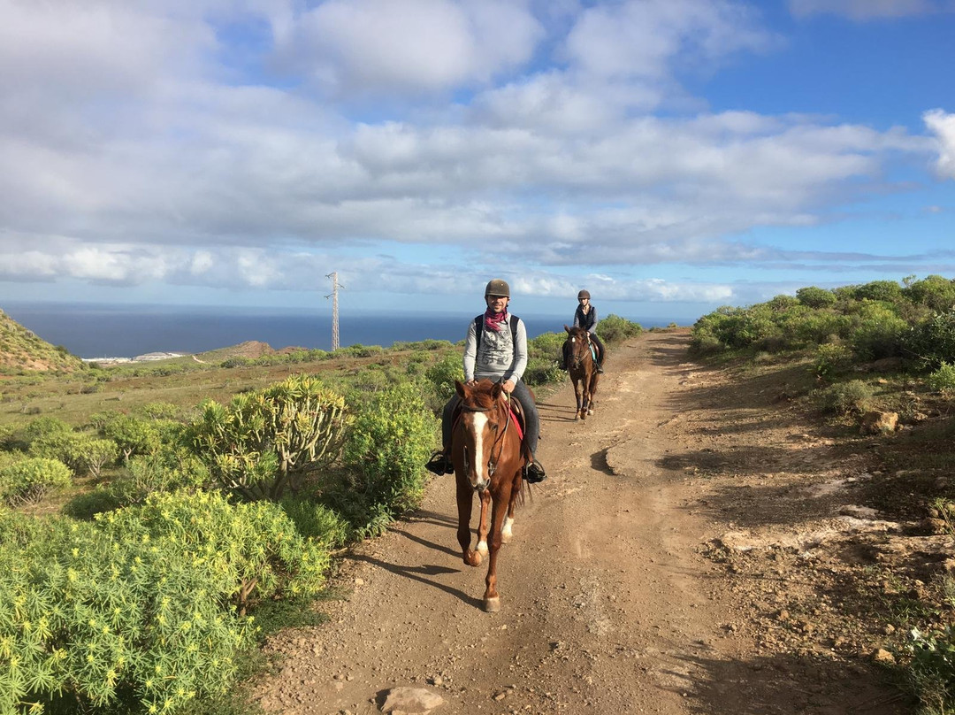 Horse Riding Canaria景点图片