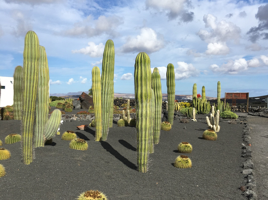 Eco Insider-科斯塔特吉塞必去景点