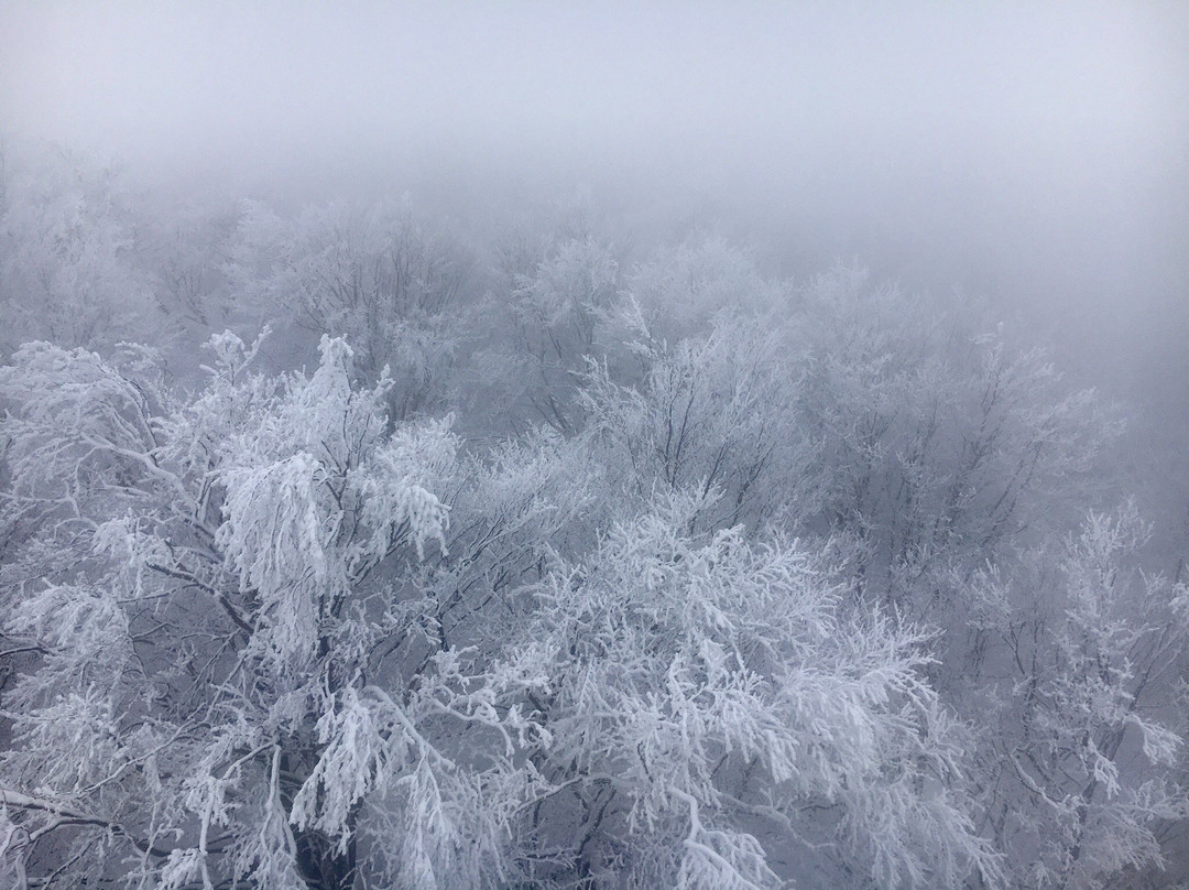 Galya Lookout景点图片