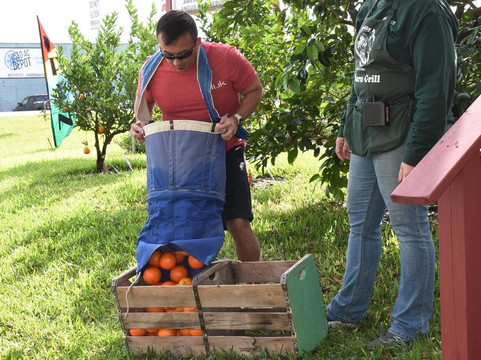 Al's Family Farms-匹尔斯堡必去景点