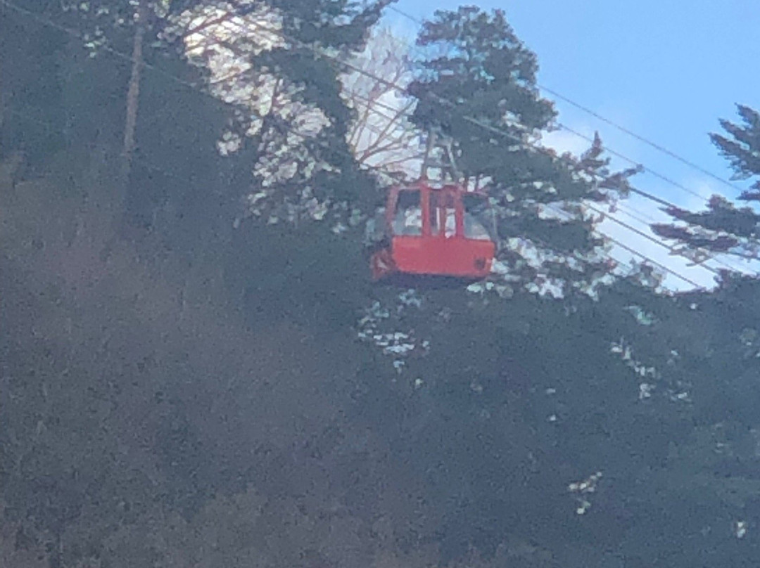 Hotel De Marronnier Yunoyama-onsen主图