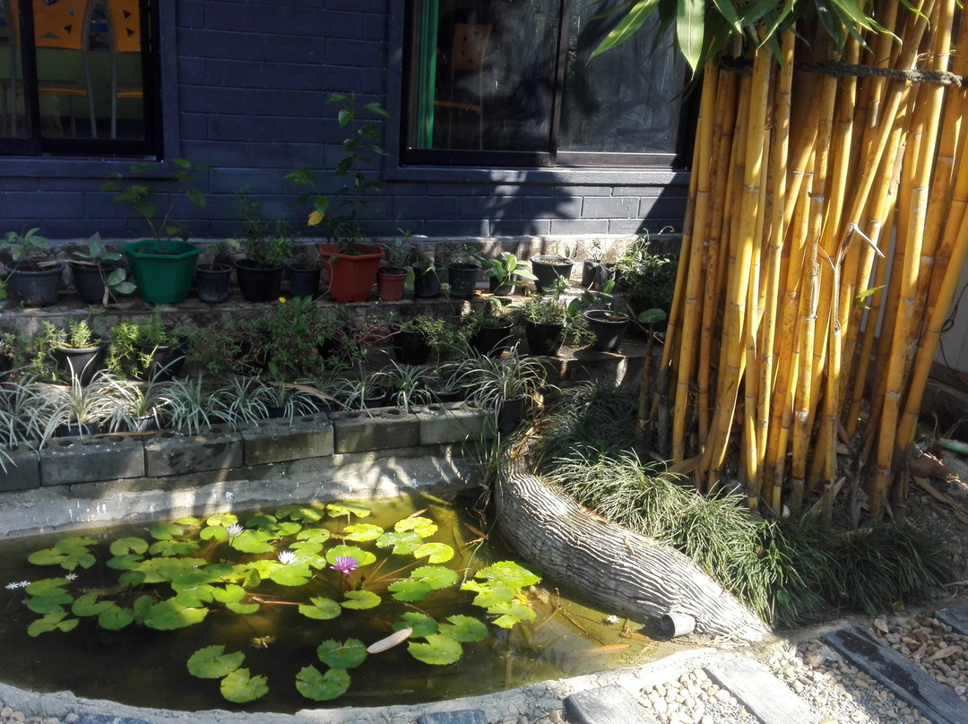 芒果栖息酒店