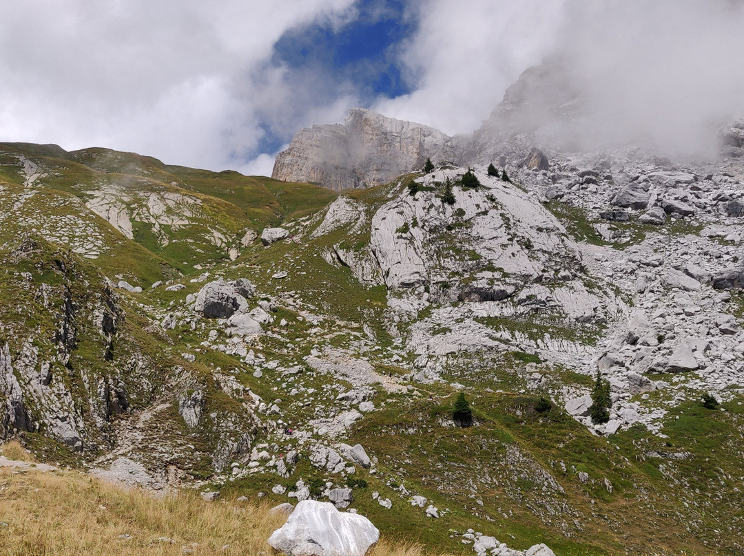 Lac de Peyre景点图片
