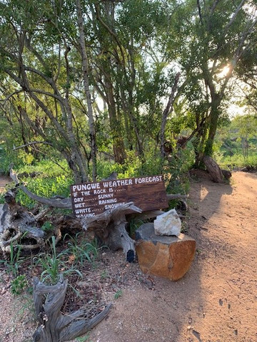 Pungwe Safari Camp主图