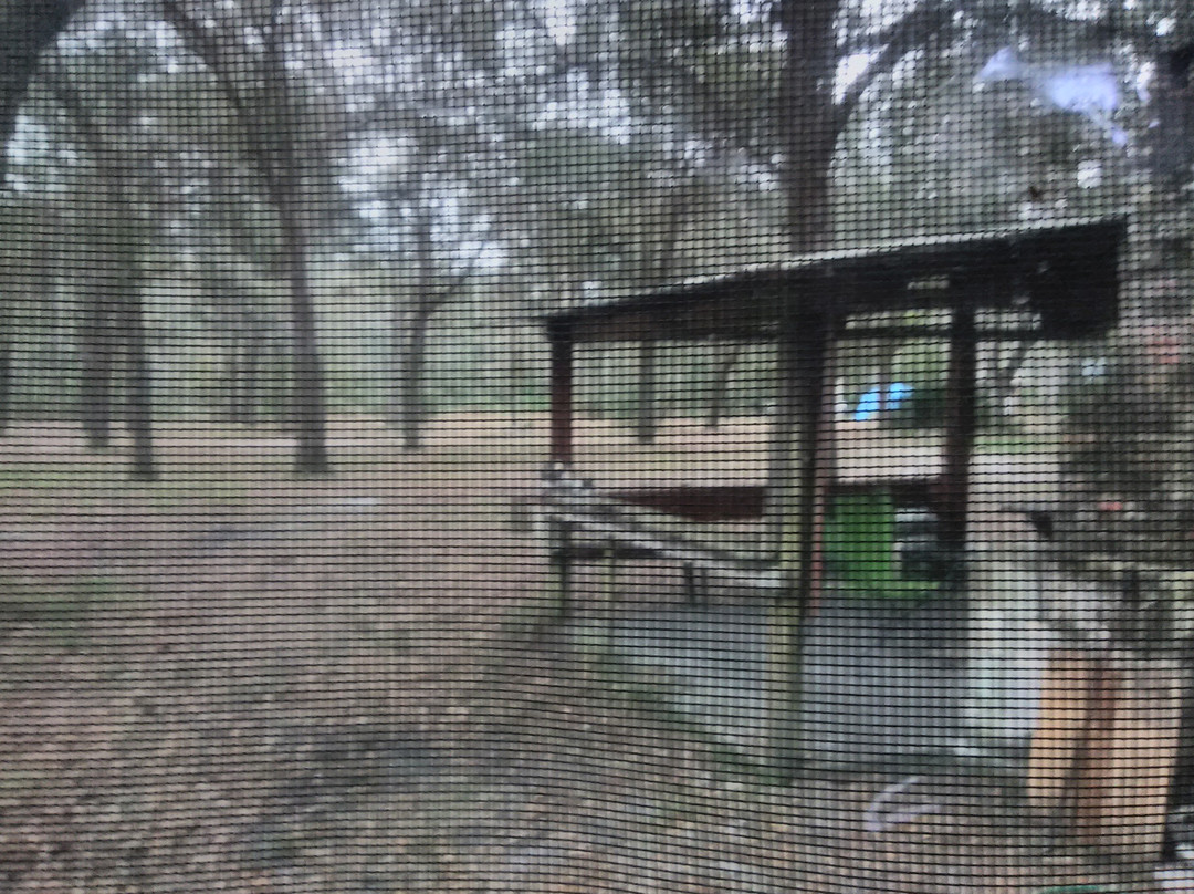 Griffis Fish Camp-Fargo必去景点