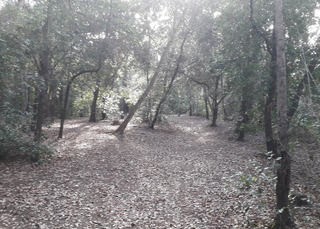 Parc de Vaugrenier景点图片