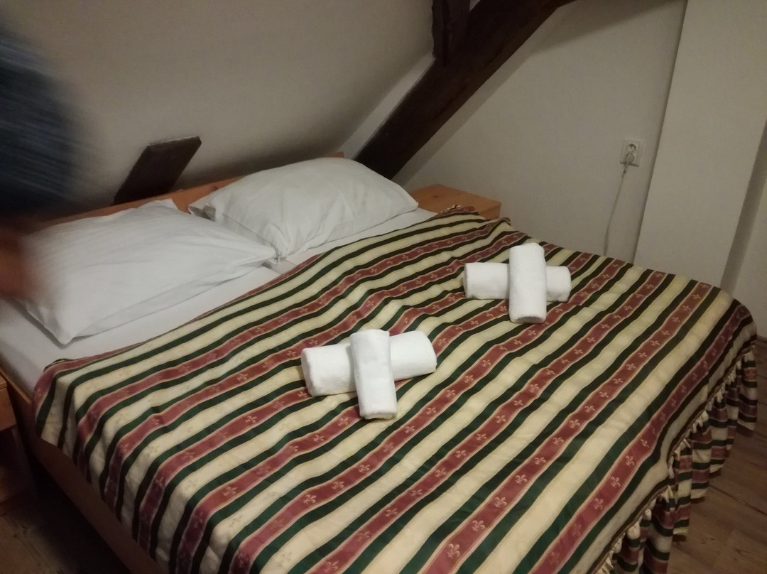 Hotel Knezinek主图