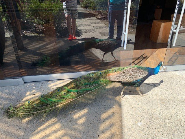 Hotel Movich Las Lomas主图