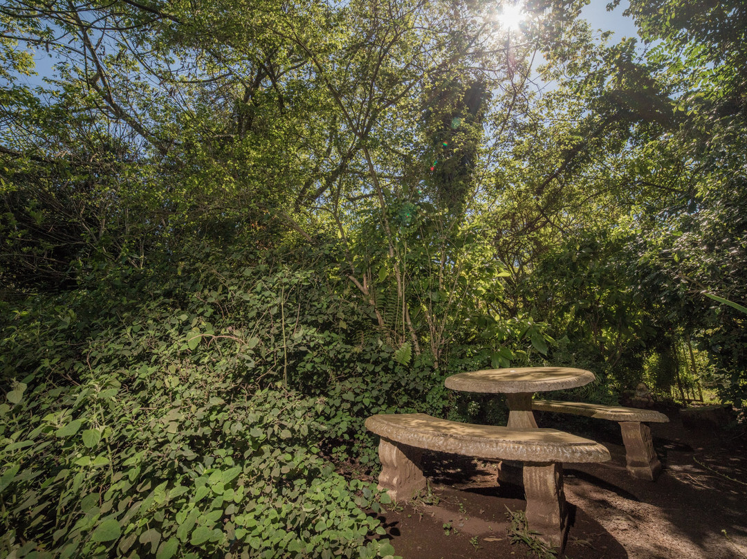 Forest View Lodge主图