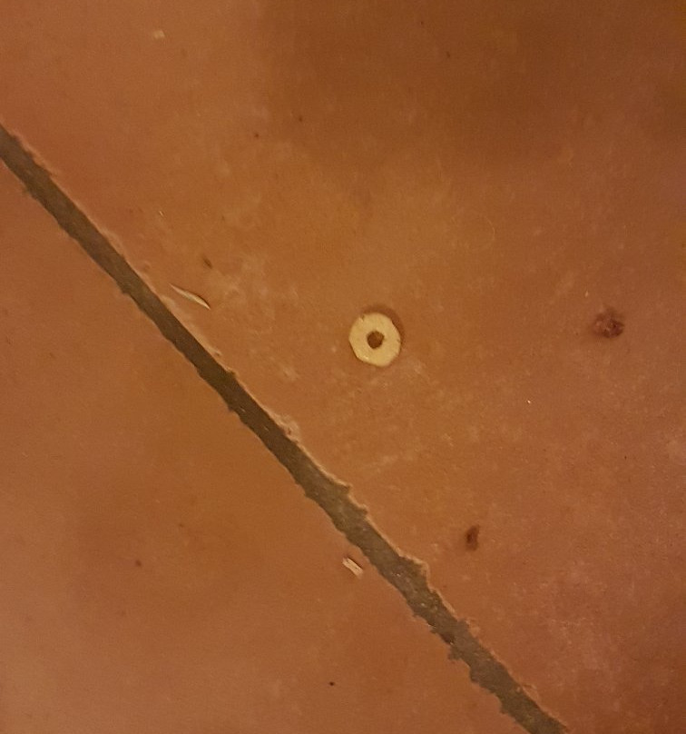 Residence Campo Smith主图