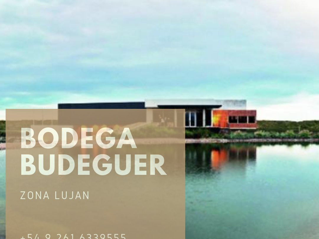 Bodega Budeguer景点图片