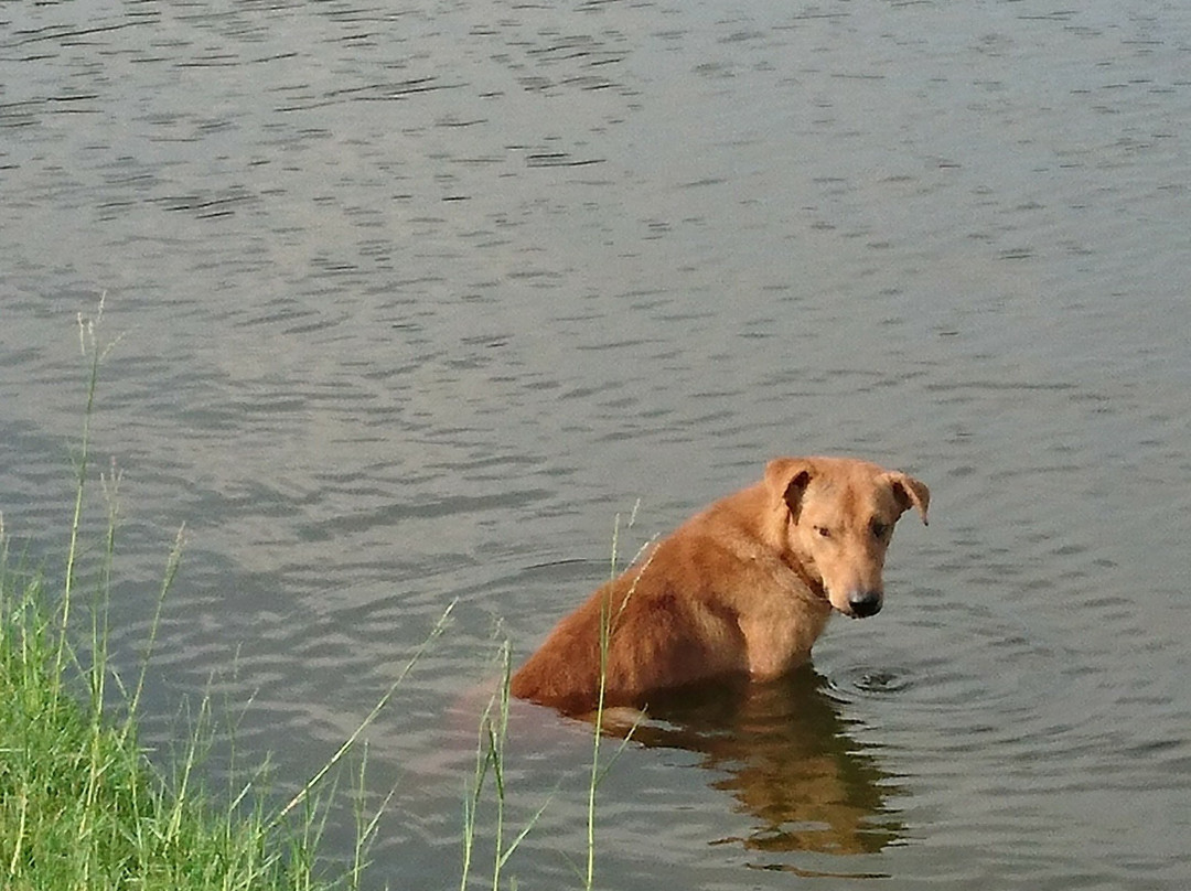 Muang Kaew Golf-挽披县必去景点