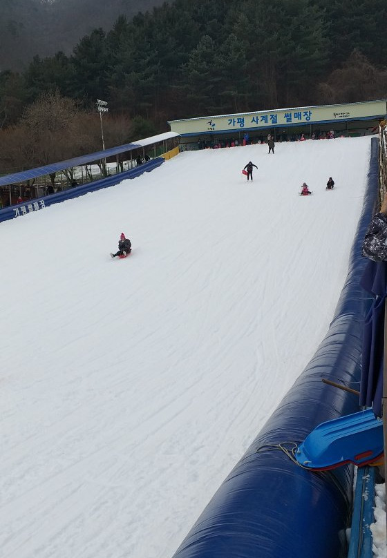 Gapyeong Sledding Hills-加平郡必去景点