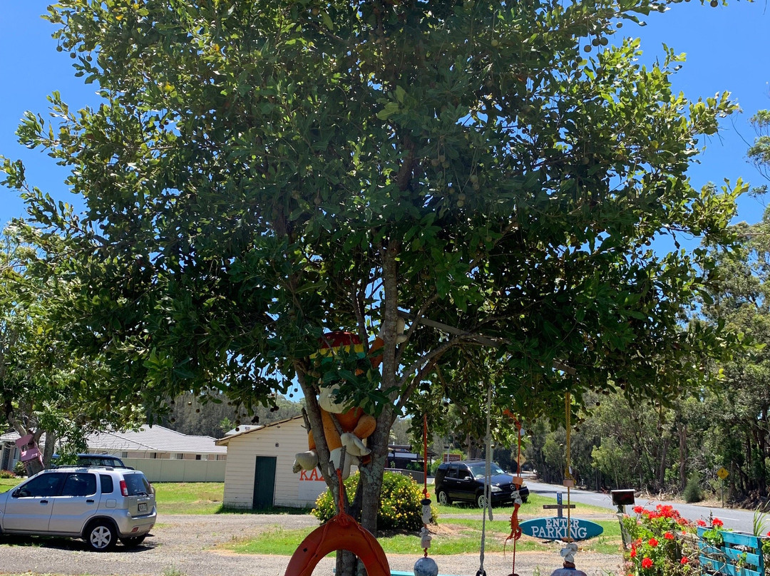 Whitewashed Gallery-Hallidays Point必去景点