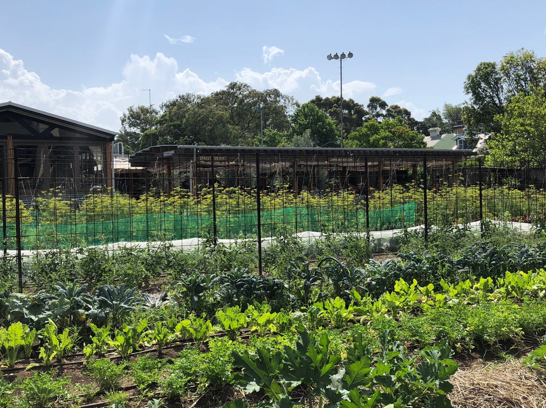 Pocket City Farms-悉尼必去景点