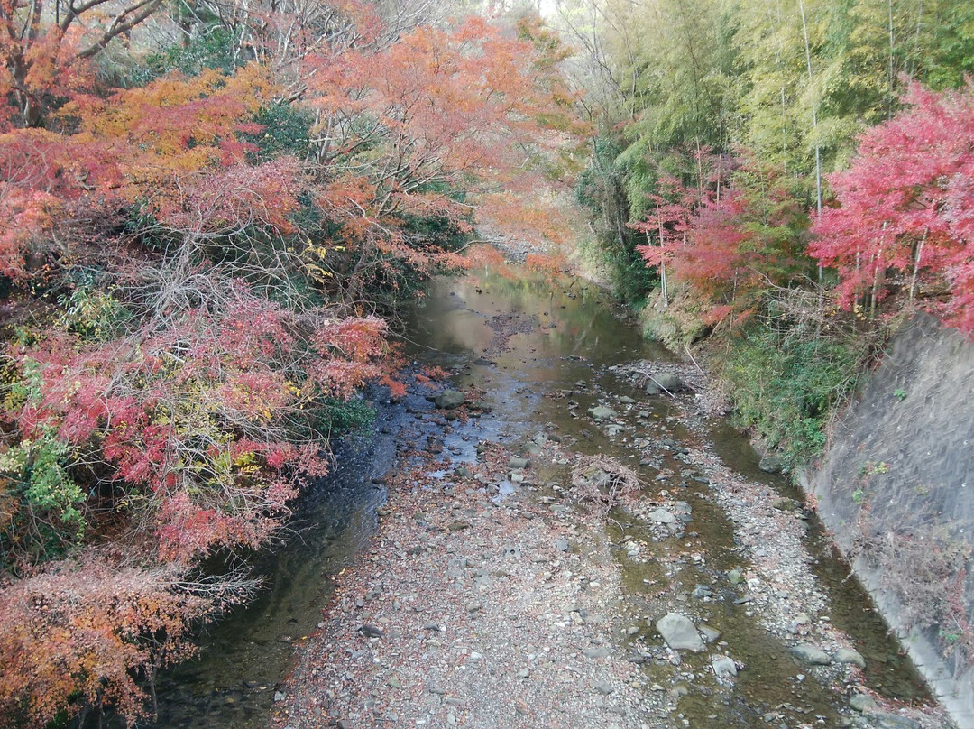 Maple Road-富津市必去景点