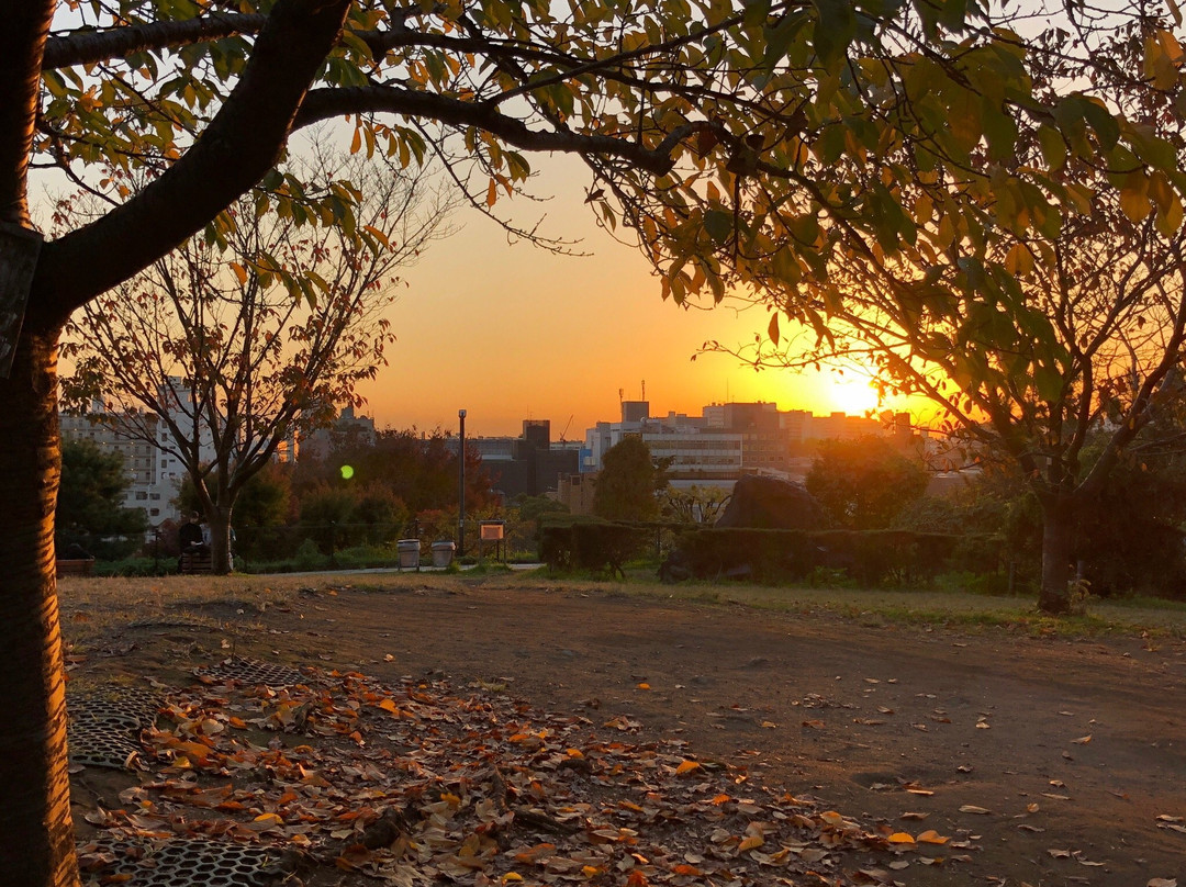 Saigoyama Park-目黒区必去景点