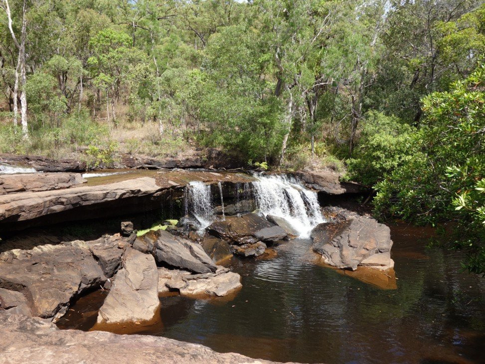 Laura旅游景点-Rinyirru (Lakefield) National Park