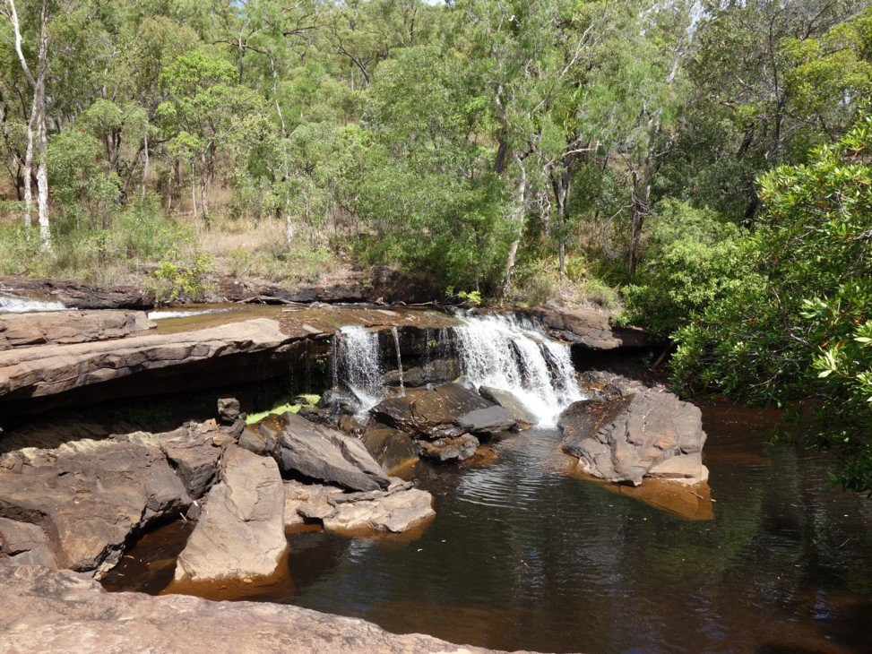 Rinyirru (Lakefield) National Park景点图片