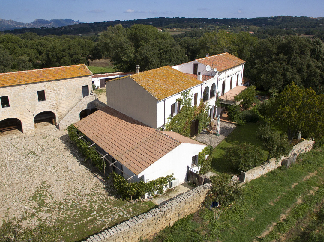 Azienda Vitivinicola Tenuta Muscazega