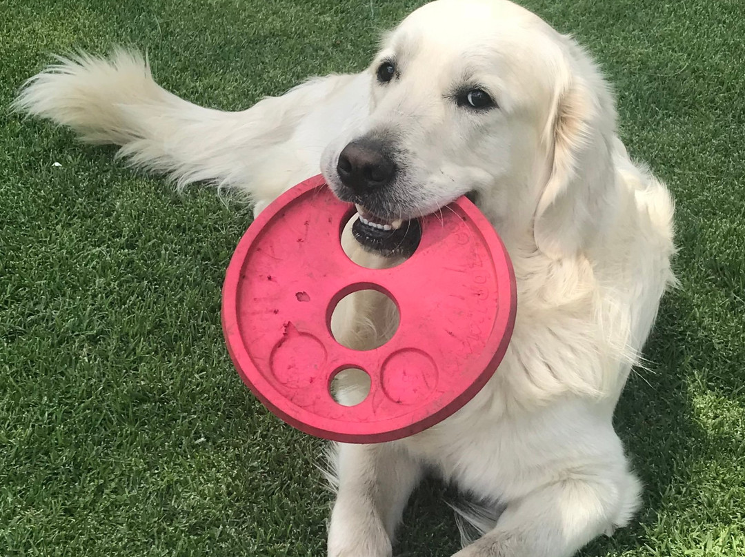 Rus & Vrede on Vaal主图