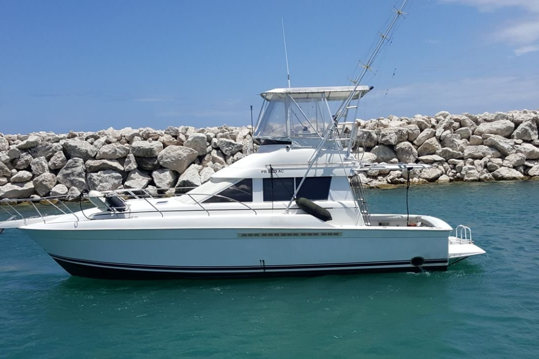 Dona Nina Fishing Tour-普拉塔港必去景点