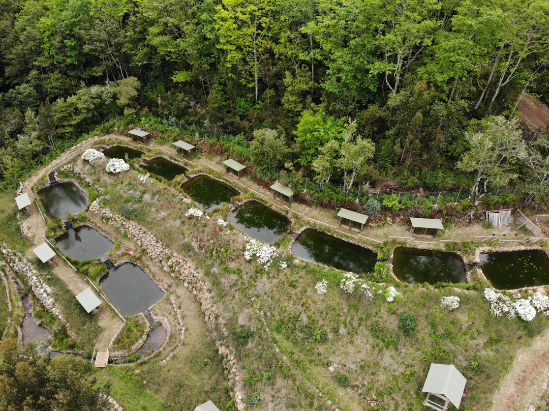 Santo António da Serra Machico旅游景点-Parque Ribeira Primeira