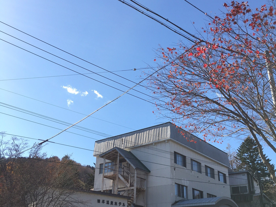 Nukabira Onsen Hotel主图