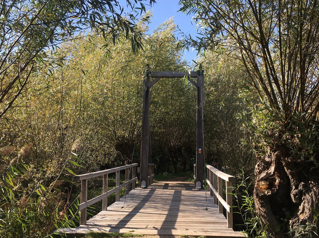 Rhoonse grienden-Rhoon必去景点