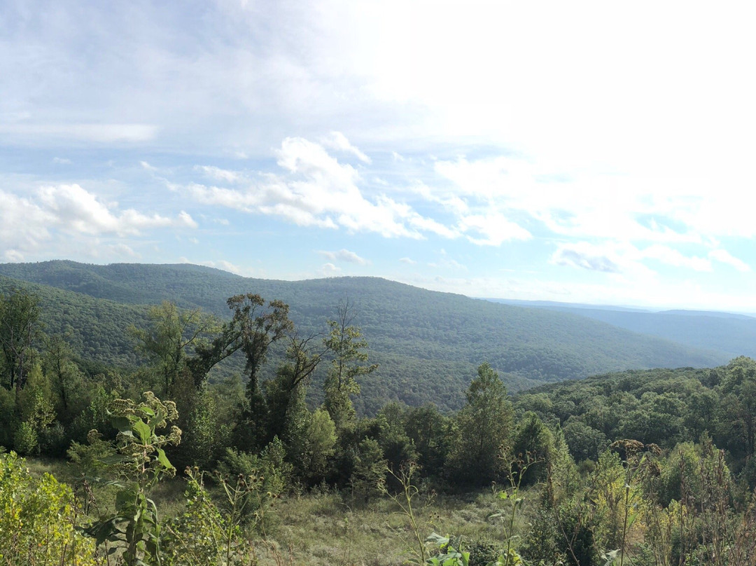 Pig Trail National Scenic Byway景点图片