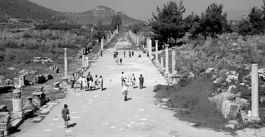 Royal Road景点图片