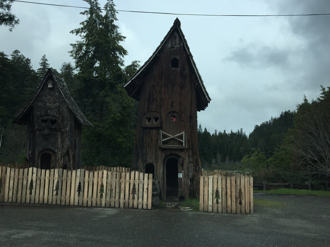 California Coastal Trail-红木国家公园必去景点