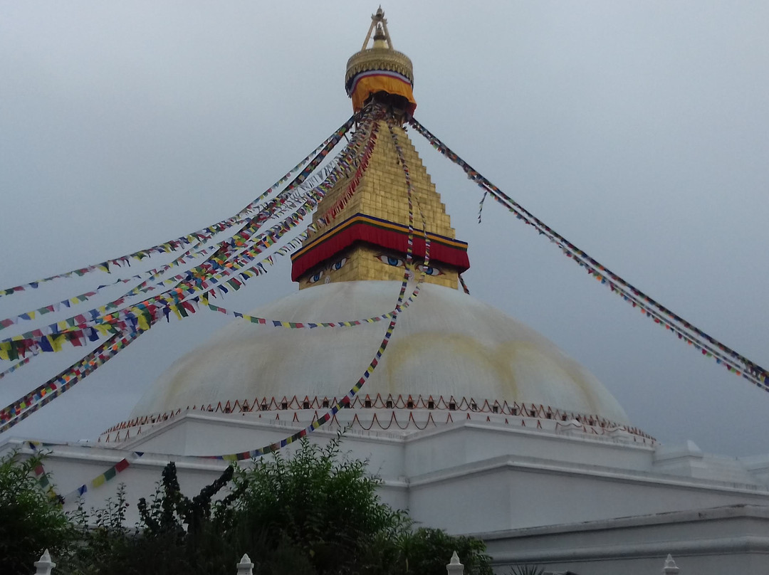 Mountain King Treks And Expedition-加德满都必去景点