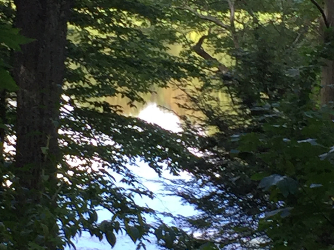 Egbert's Lake Park景点图片