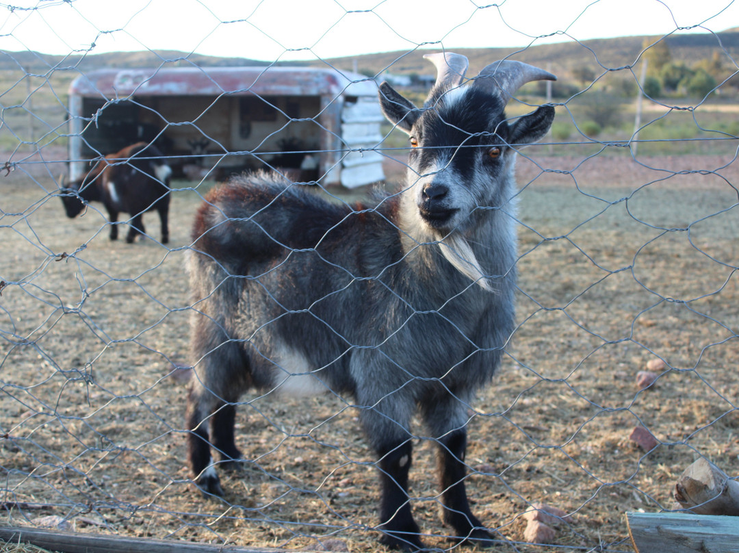 Hananja Lodge and Restaurant主图