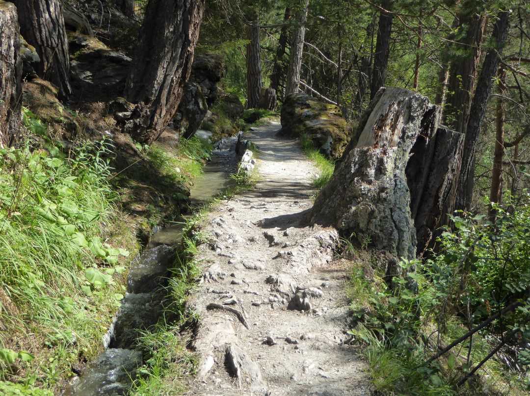 Grand Bisse de Vercorin