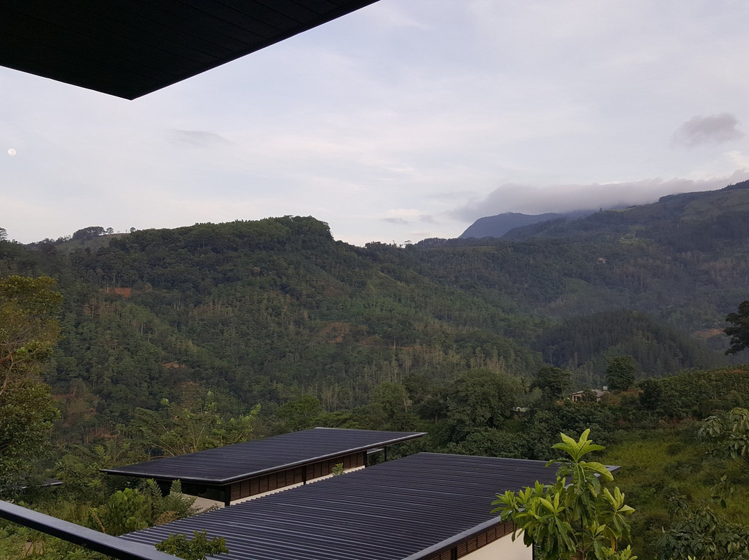 Santani Wellness Kandy主图