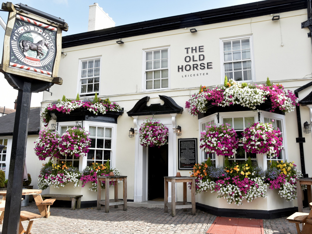 The Old Horse