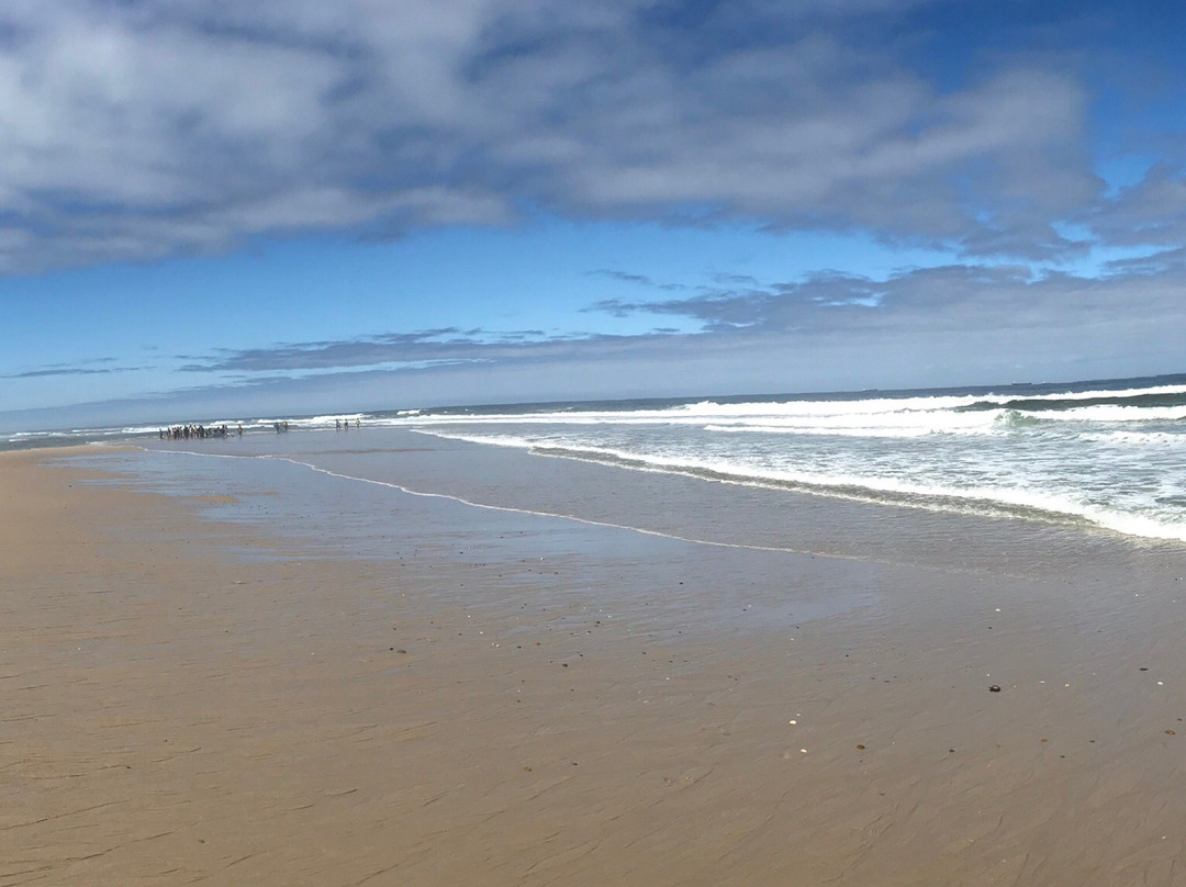 Praia de Sao Jacinto景点图片