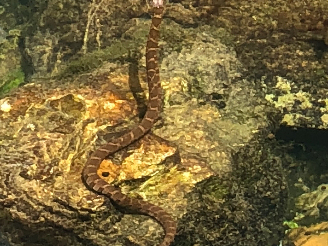 Roubidoux Creek & Spring-Waynesville必去景点