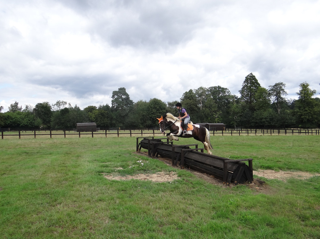 Catherington Equestrian Centre景点图片