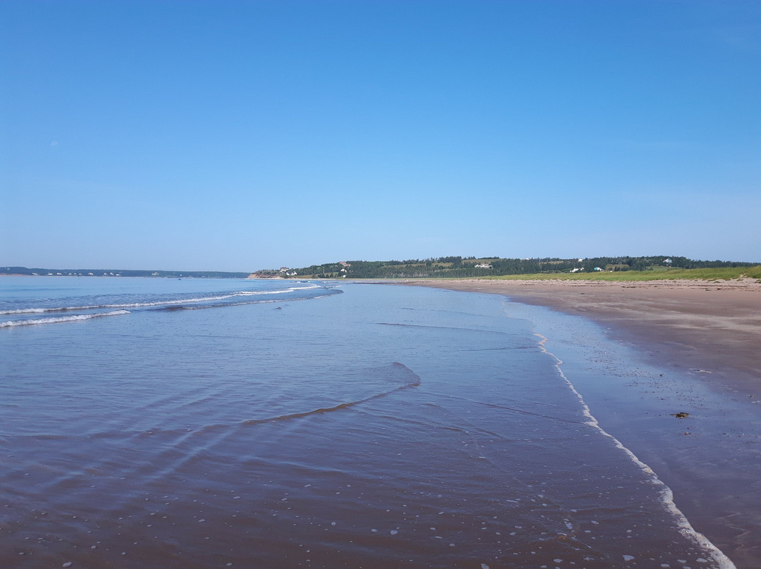 Conrad's Beach-Lawrencetown必去景点