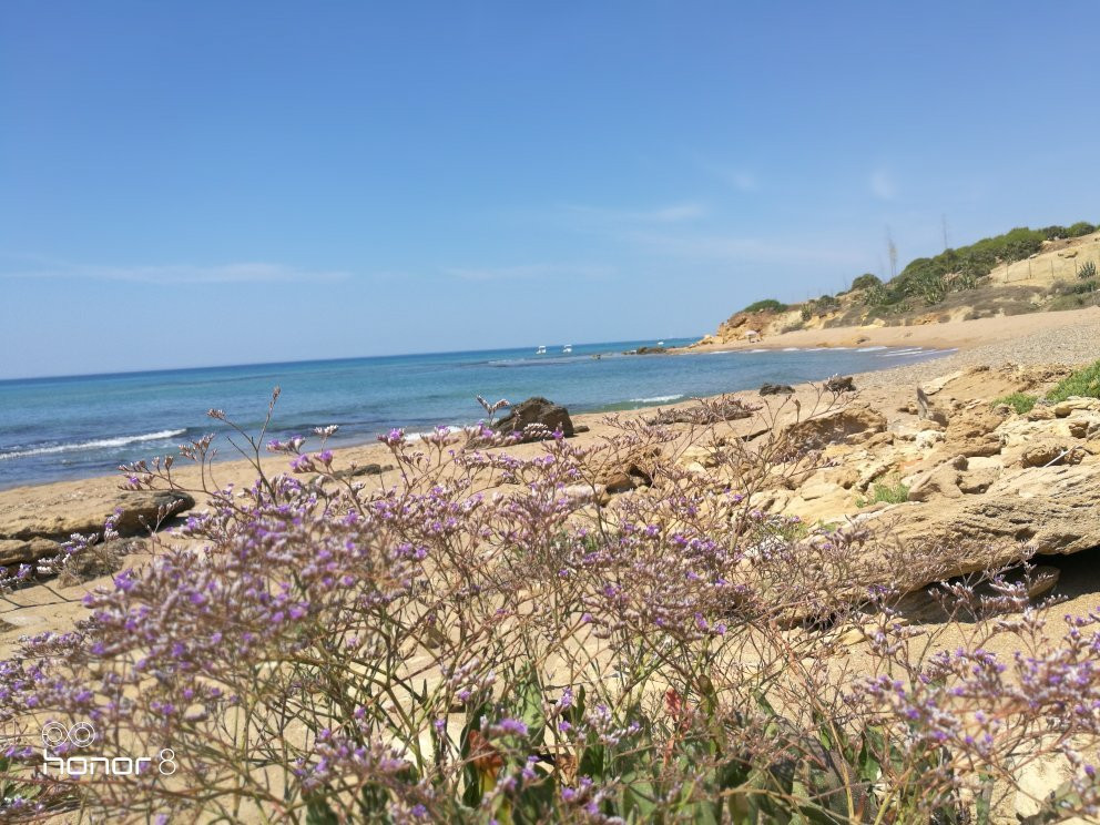 Paradise Beach Resort主图