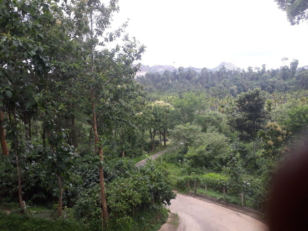 The Hill District Club主图