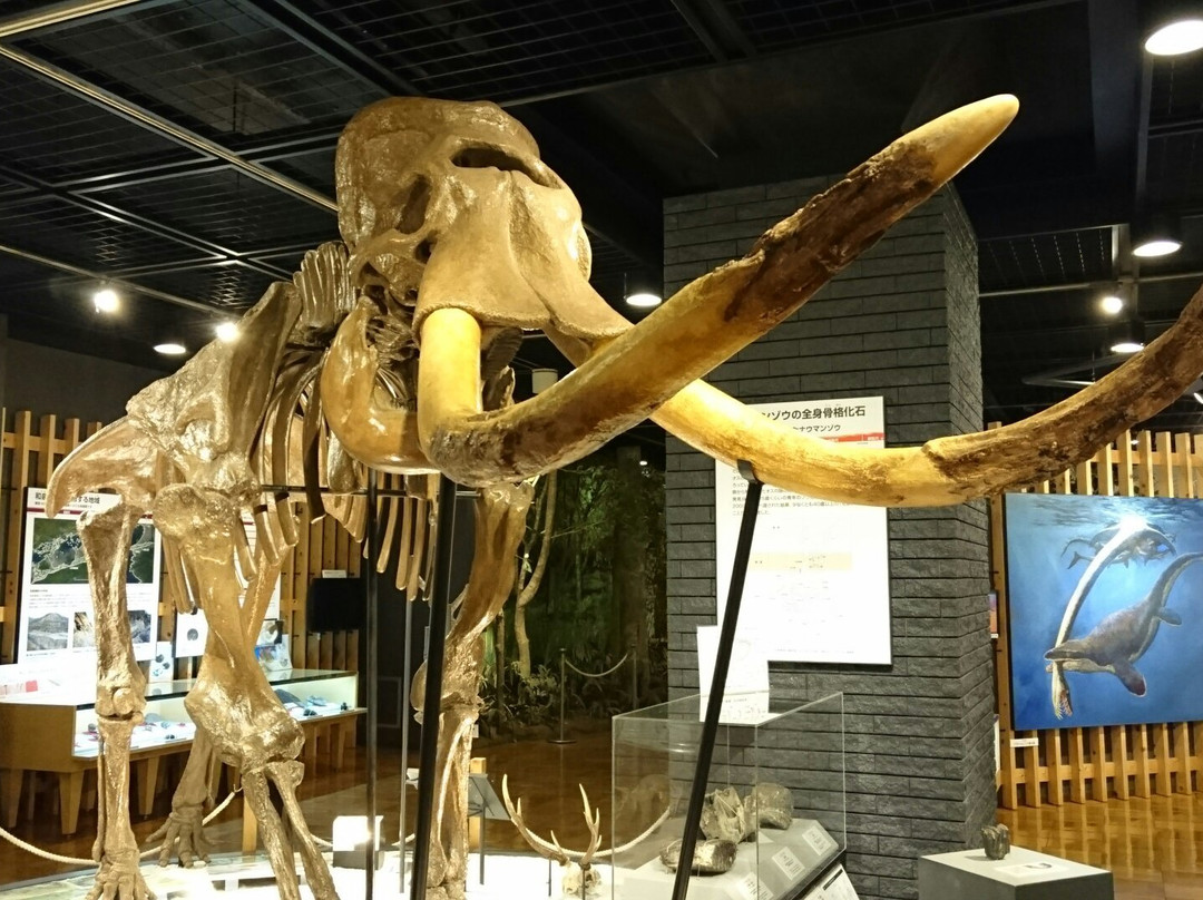 Kishiwada Nature Musium-岸和田市必去景点