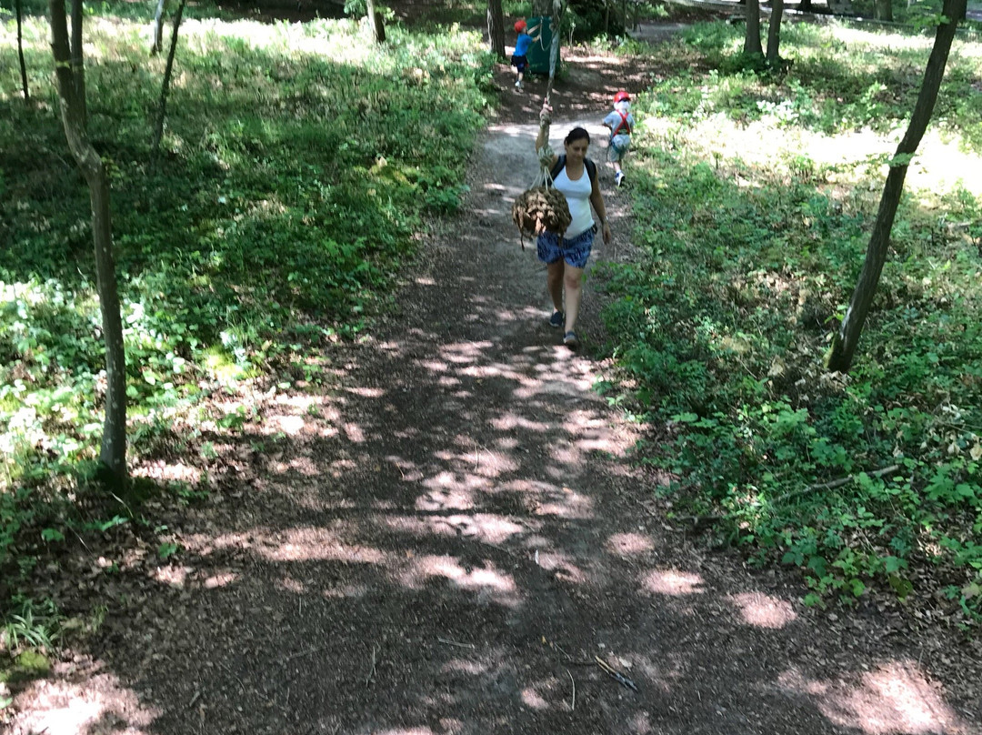 Parc Canopée-Ambleny必去景点