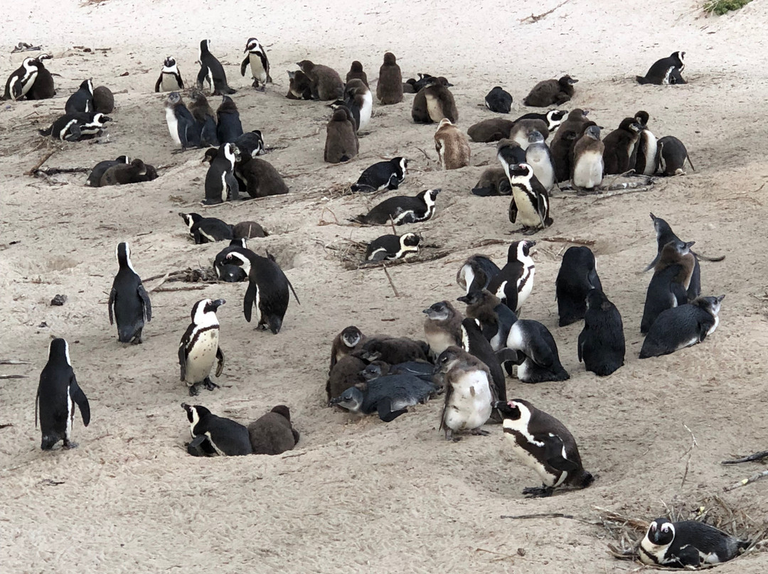 Hospitality Afrika-约翰内斯堡必去景点